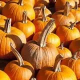 Piggott's Farm Market photo