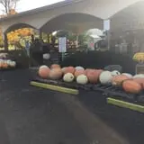 Piggott's Farm Market photo