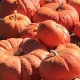 Piggott's Farm Market photo