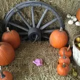 Piggott's Farm Market photo