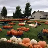 Piggott's Farm Market photo