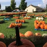 Piggott's Farm Market photo
