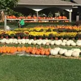 Piggott's Farm Market photo