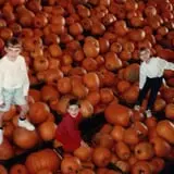 Piggott's Farm Market photo