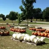 Piggott's Farm Market photo