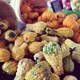 Piggott's Farm Market photo