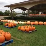 Piggott's Farm Market photo