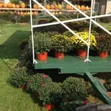 Piggott's Farm Market photo