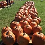 Piggott's Farm Market photo