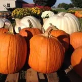 Piggott's Farm Market photo