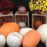 Piggott's Farm Market photo