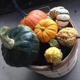 Piggott's Farm Market photo