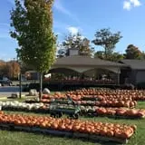 Piggott's Farm Market photo