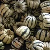 Piggott's Farm Market photo