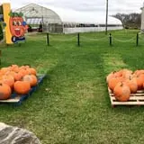 Piggott's Farm Market photo