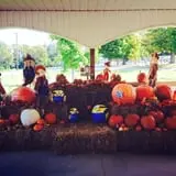 Piggott's Farm Market photo