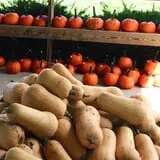Piggott's Farm Market photo