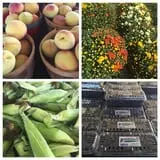 Piggott's Farm Market photo