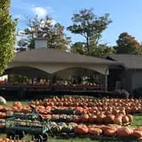 Piggott's Farm Market photo