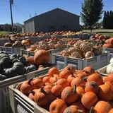 Piggott's Farm Market photo