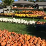 Piggott's Farm Market photo