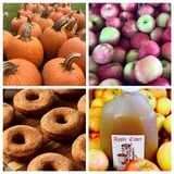 Piggott's Farm Market photo