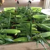 Piggott's Farm Market photo