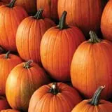 Piggott's Farm Market photo