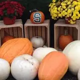 Piggott's Farm Market photo