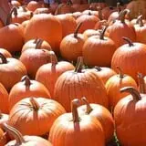 Meadow Ledge Farm photo