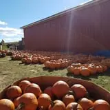 Meadow Ledge Farm photo