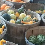 Meadow Ledge Farm photo