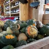 Meadow Ledge Farm photo