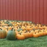Meadow Ledge Farm photo