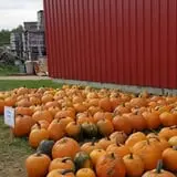 Meadow Ledge Farm photo