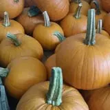 Meadow Ledge Farm photo