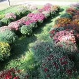 Meadow Ledge Farm photo
