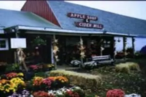 Meadow Ledge Farm