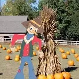 Dogwood Acre's Family Farm Fall Festival photo