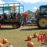 Dogwood Acre's Family Farm Fall Festival photo