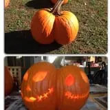 Dogwood Acre's Family Farm Fall Festival photo