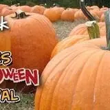 Dogwood Acre's Family Farm Fall Festival photo
