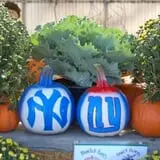 Dogwood Acre's Family Farm Fall Festival photo