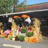Dogwood Acre's Family Farm Fall Festival photo