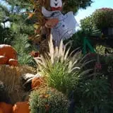 Dogwood Acre's Family Farm Fall Festival photo