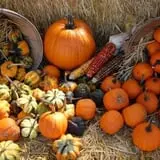 Dogwood Acre's Family Farm Fall Festival photo
