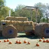 Dogwood Acre's Family Farm Fall Festival photo