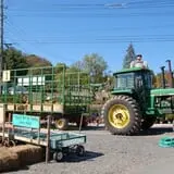 Dogwood Acre's Family Farm Fall Festival photo