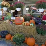 Dogwood Acre's Family Farm Fall Festival photo