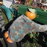 Dogwood Acre's Family Farm Fall Festival photo